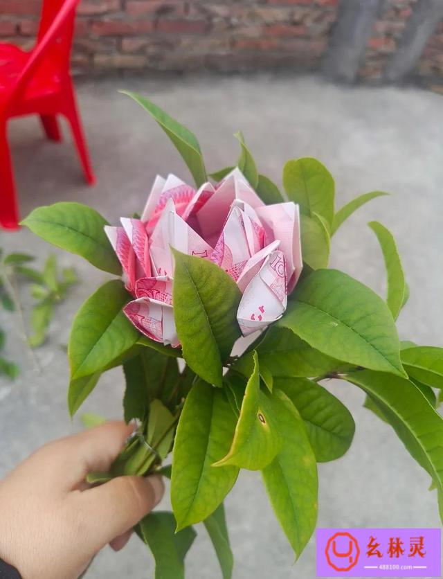 男朋友送花怎么表示感谢他（情人节有情商的回答）